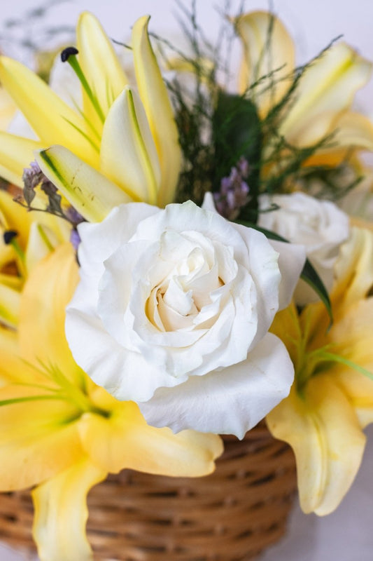 ADORABLE BASKET - AG Floral Studio