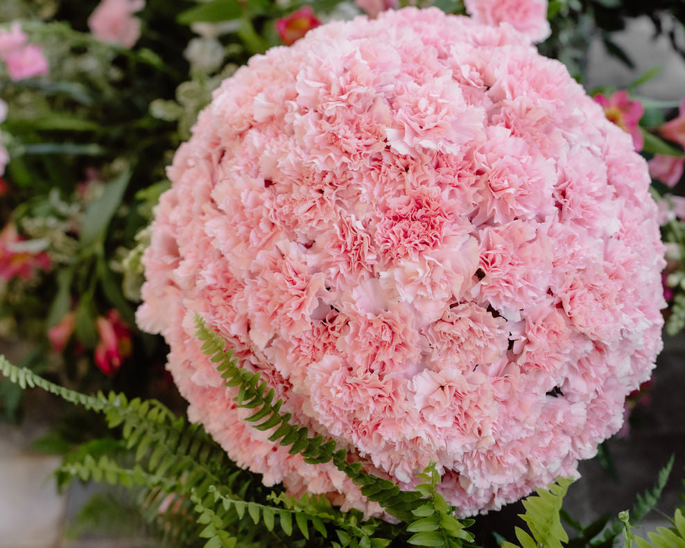 A large spherical floral arrangement made of light pink carnations, displayed with green fern leaves in a garden or nursery setting with other blurred flowers in the background.
